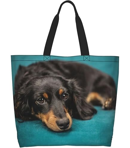 ダックスフンド柄 デニムバッグ Amazon.co.jp: デニム ショルダーバッグ ファスナー付/内ポケット外